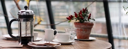 Life on the Half Shell featuring essays, audio readings, and reflective writing